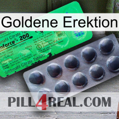 Golden Erection new04